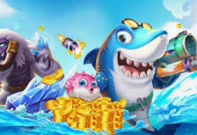 pg国际2024最新版